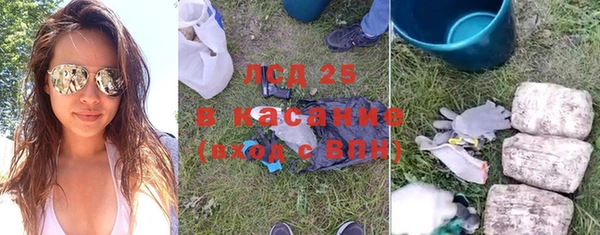 ГАЛЛЮЦИНОГЕННЫЕ ГРИБЫ Пестово