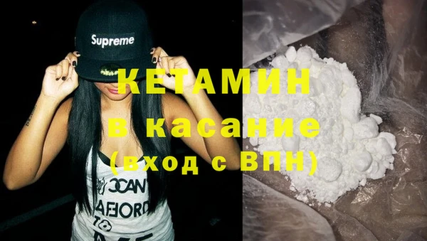 трава Пересвет